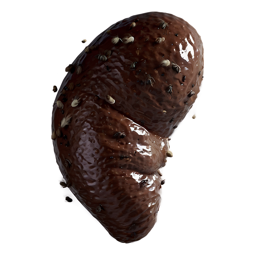 Poop With Flies Png 90 PNG Image