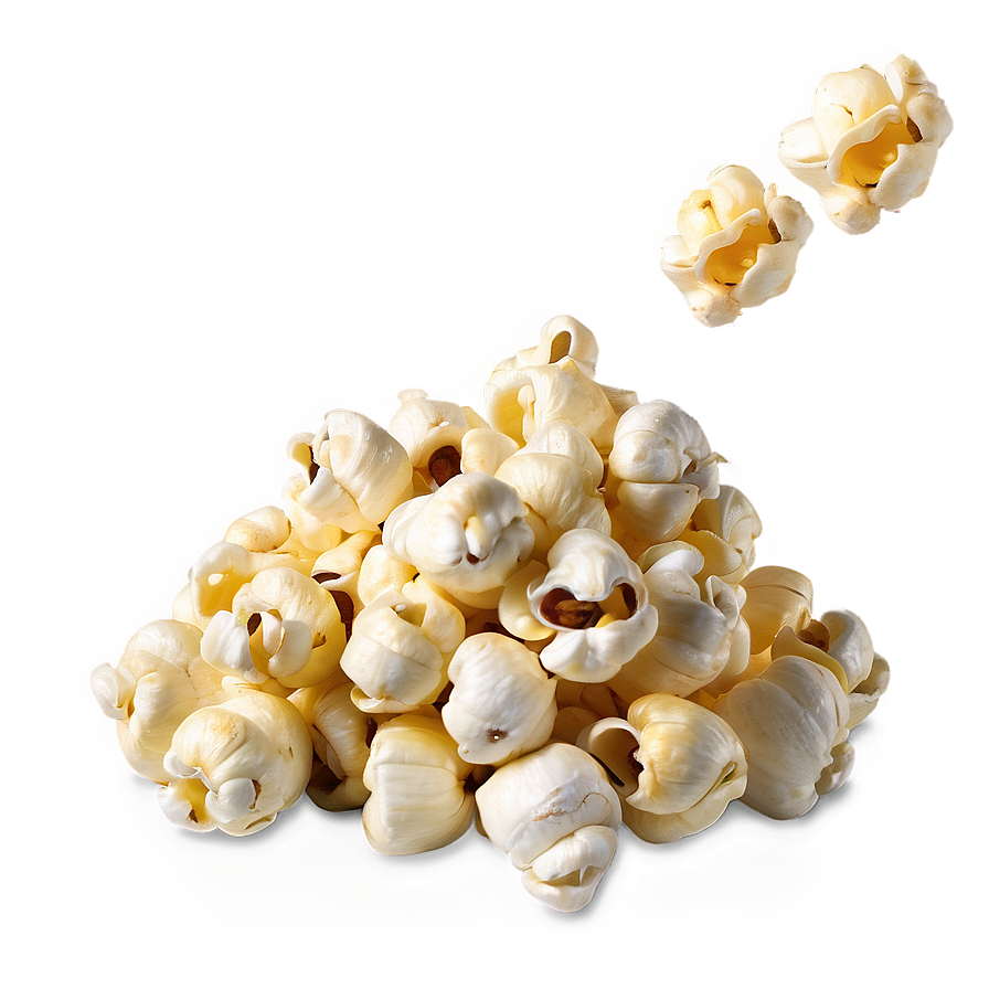 Popcorn Kernel C PNG Image