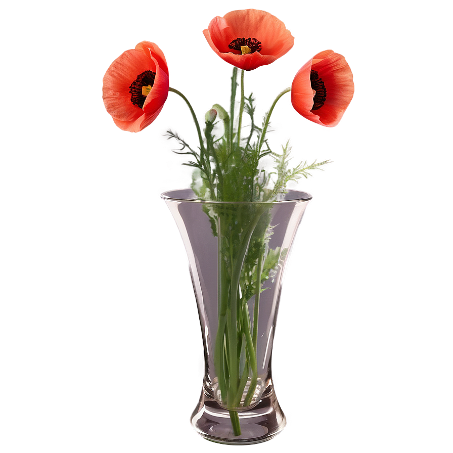 Poppies In Vase Png 06272024 PNG Image