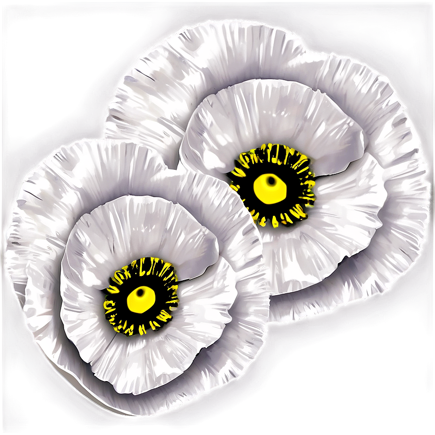 Poppy Clipart Png Edh42 PNG Image