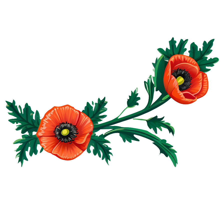 Poppy Floral Border Png Lca PNG Image