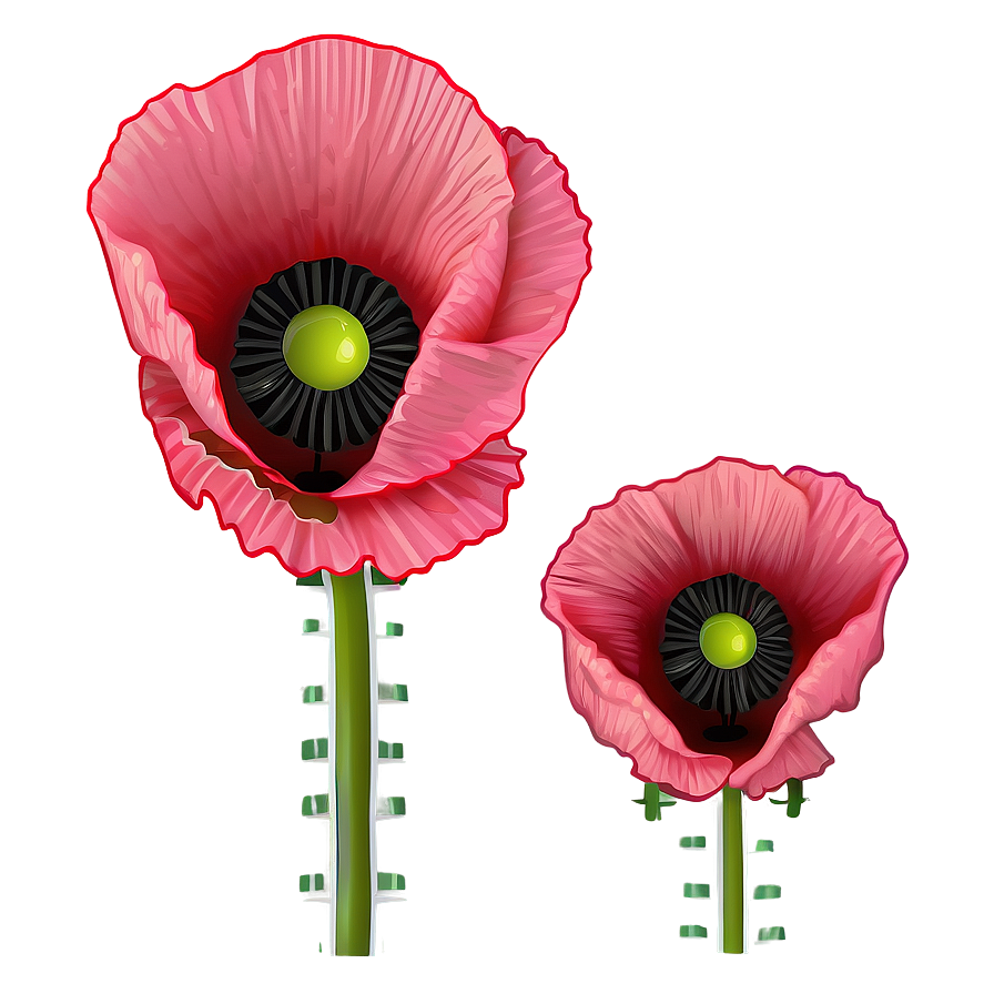 Poppy Flower Outline Png Kwa PNG Image