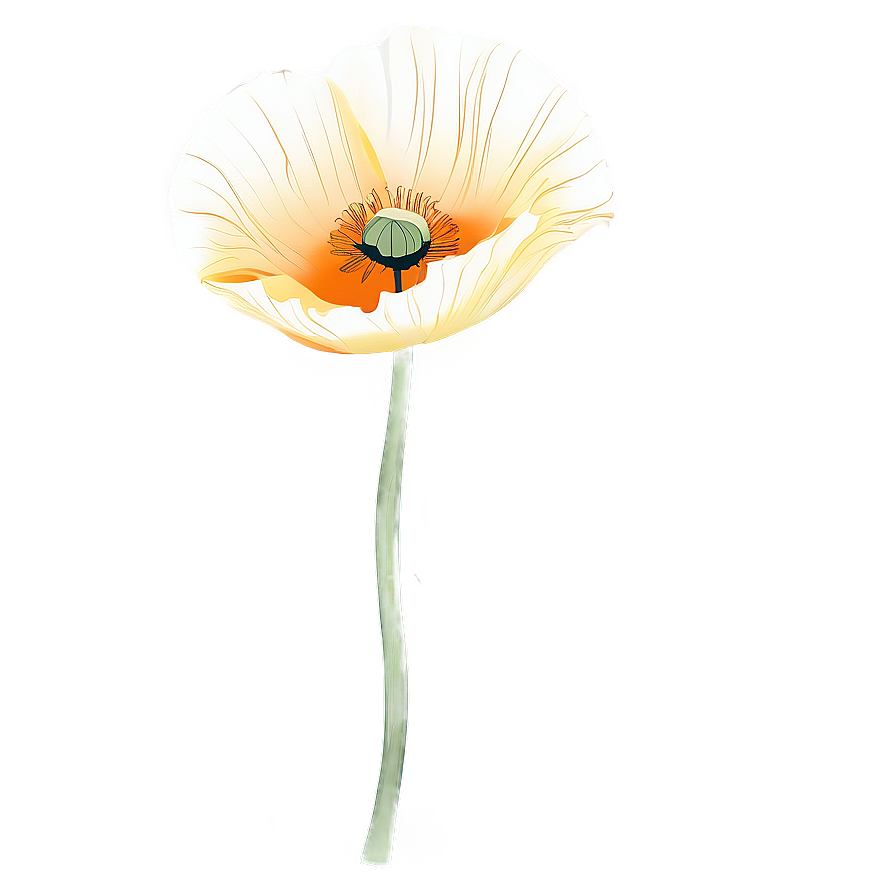 Poppy Flower Outline Png Xrp56 PNG Image