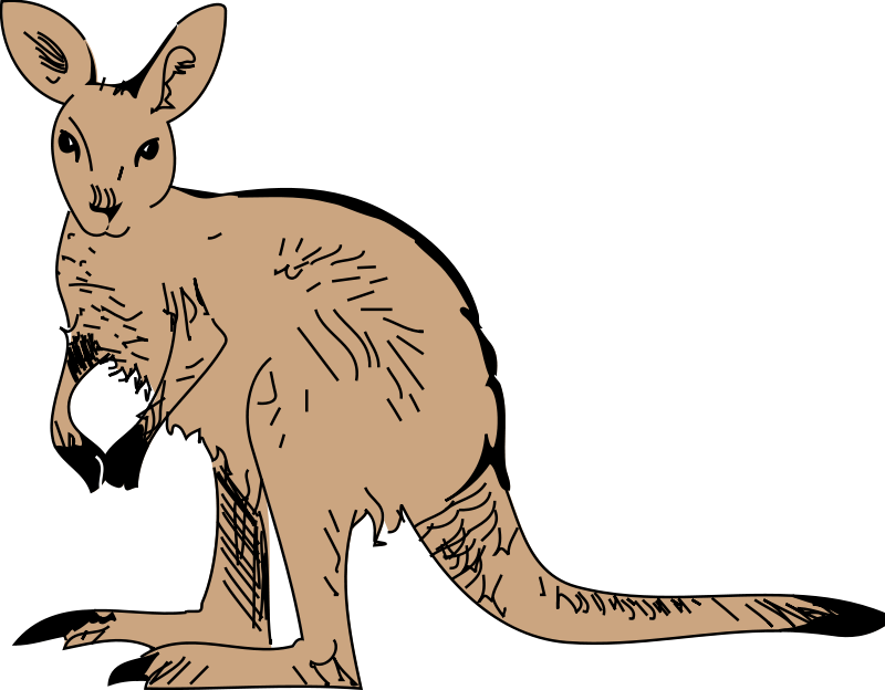 Possum Illustration Artwork PNG Image