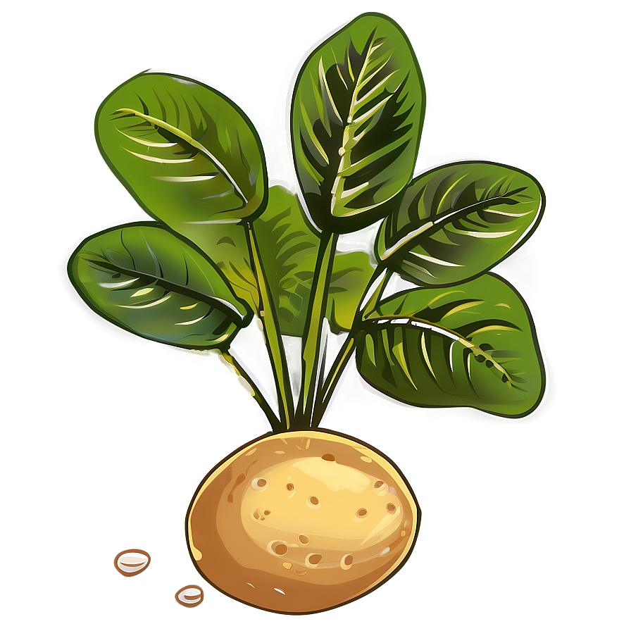 Potato Plant Clipart Png Jnn PNG Image