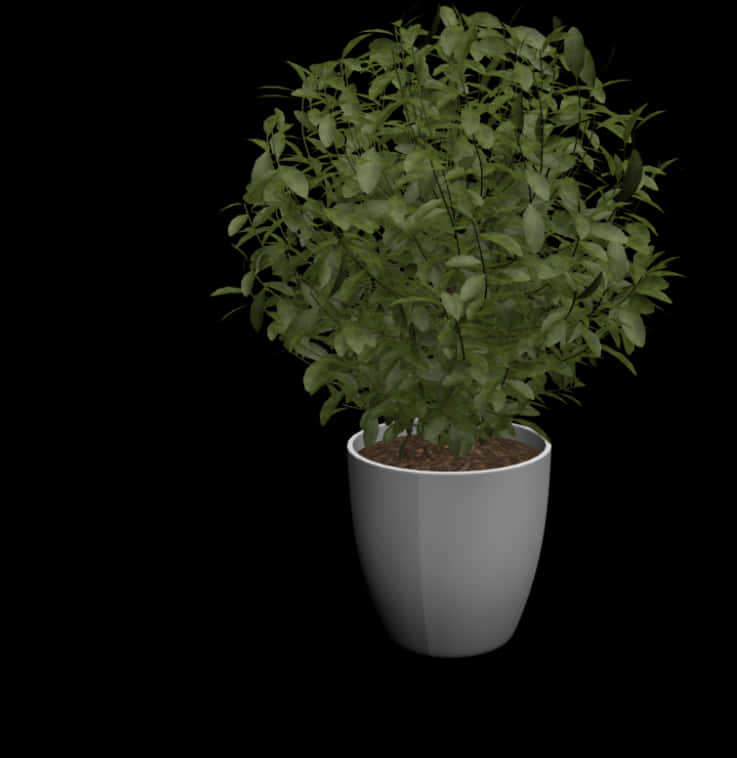 Potted Green Plant Black Background PNG Image