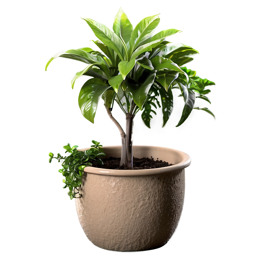 Potted Hanging Plant Png Kfd96 PNG Image