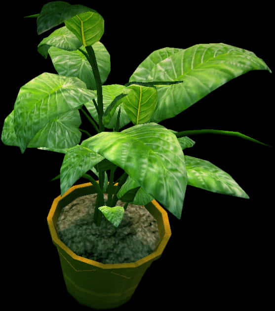 Potted Plant Green Leaves3 D Model PNG Image