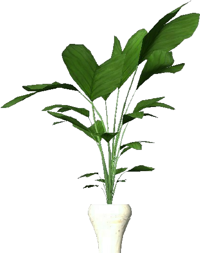 Potted Plant Interior Decor PNG Image