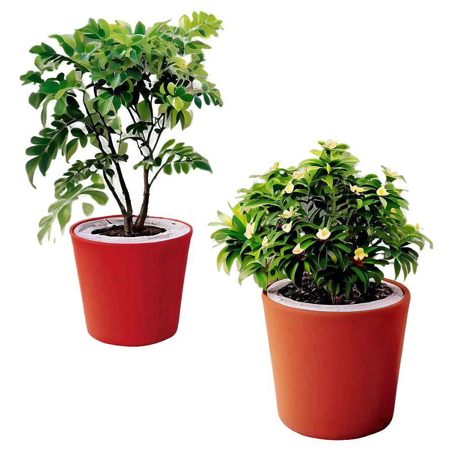 Potted Plants Png 50 PNG Image