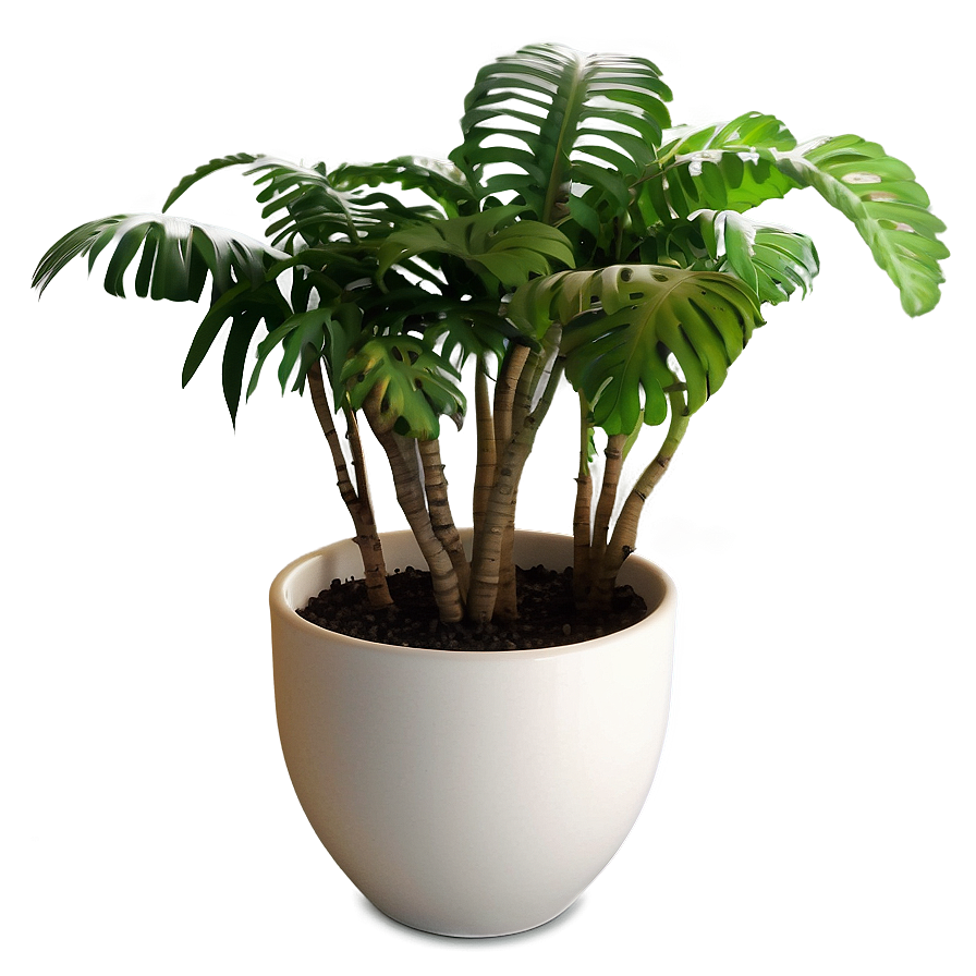 Potted Plants Png Mlk25 PNG Image