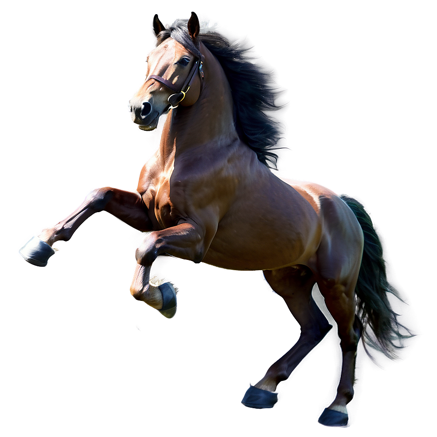 Prancing Horse Freedom Run Png Dps60 PNG Image