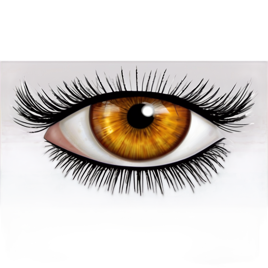 Pre-glued Eyelashes Png 18 PNG Image