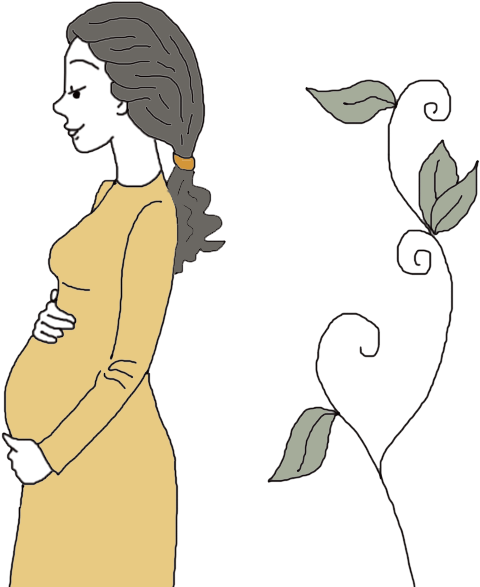 Pregnant Womanand Plant Illustration PNG Image