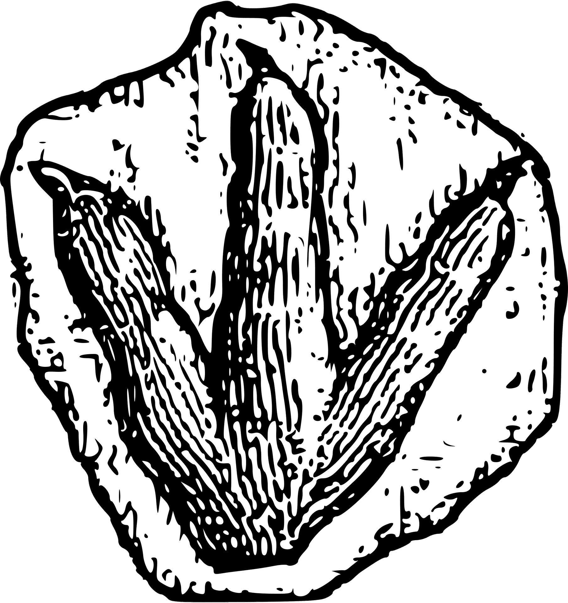 Prehistoric Plant Fossil Illustration PNG Image