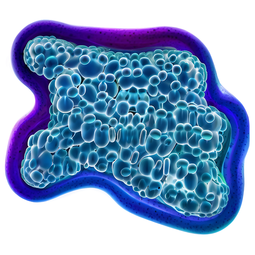 Probiotic Bacteria Png 05242024 PNG Image