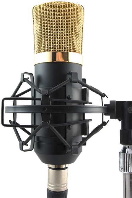 Professional Condenser Studio Microphone PNG Image