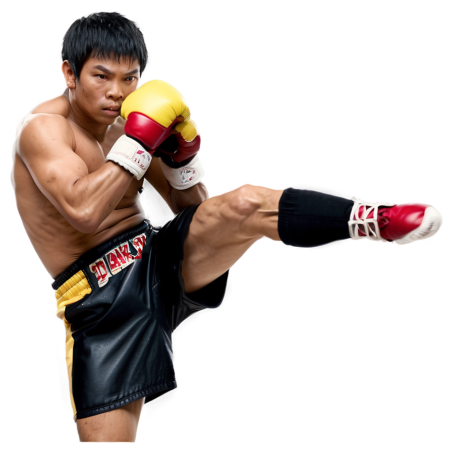 Professional Kickboxer Png Ofp71 PNG Image