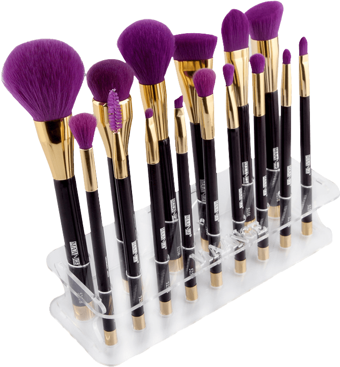 Professional Makeup Brush Set PNG Image