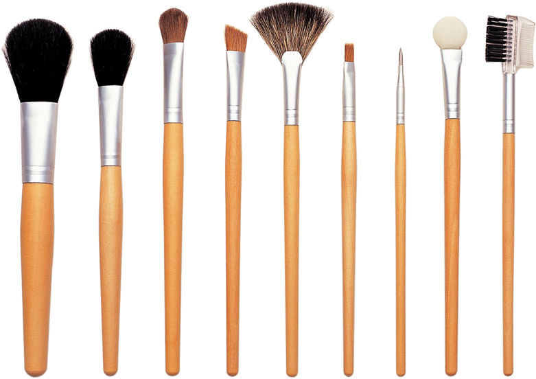 Professional Makeup Brush Set PNG Image