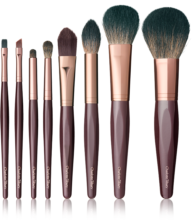 Professional Makeup Brush Set PNG Image