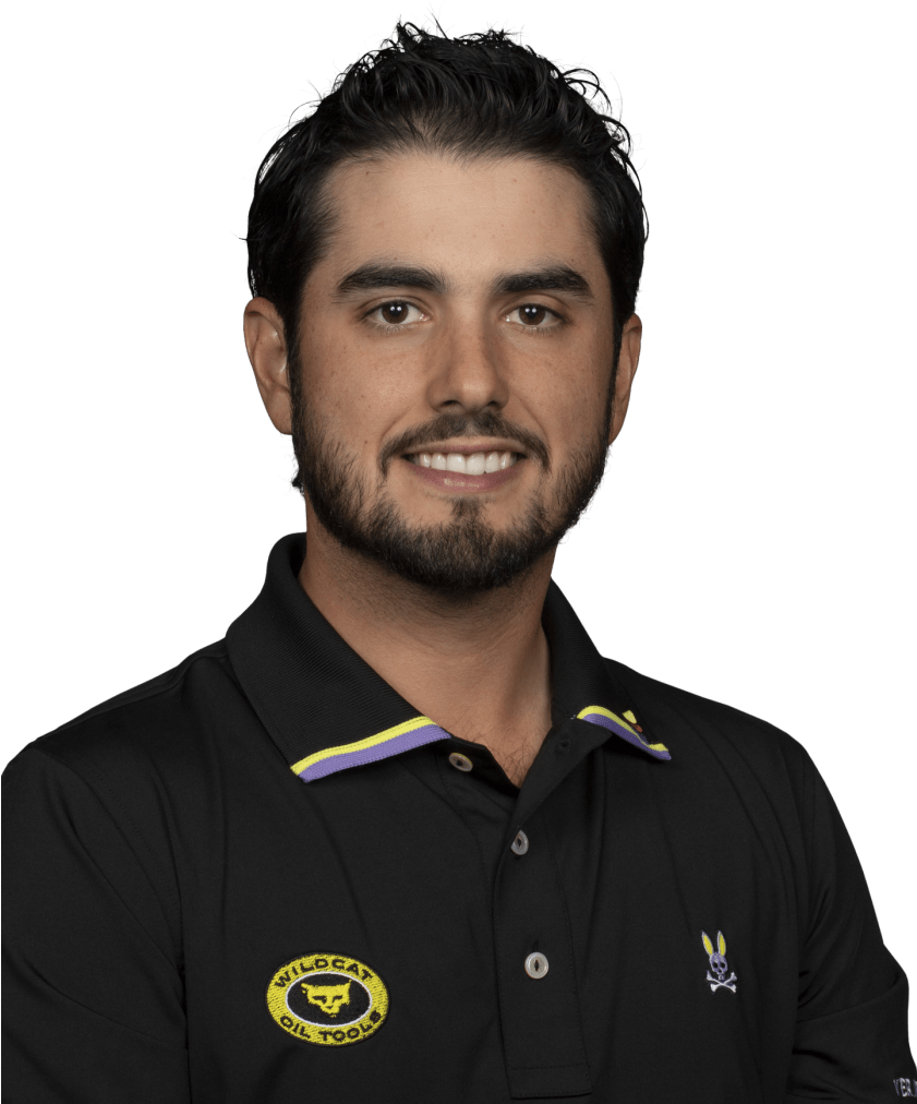 Professional Manin Black Polo Shirt PNG Image