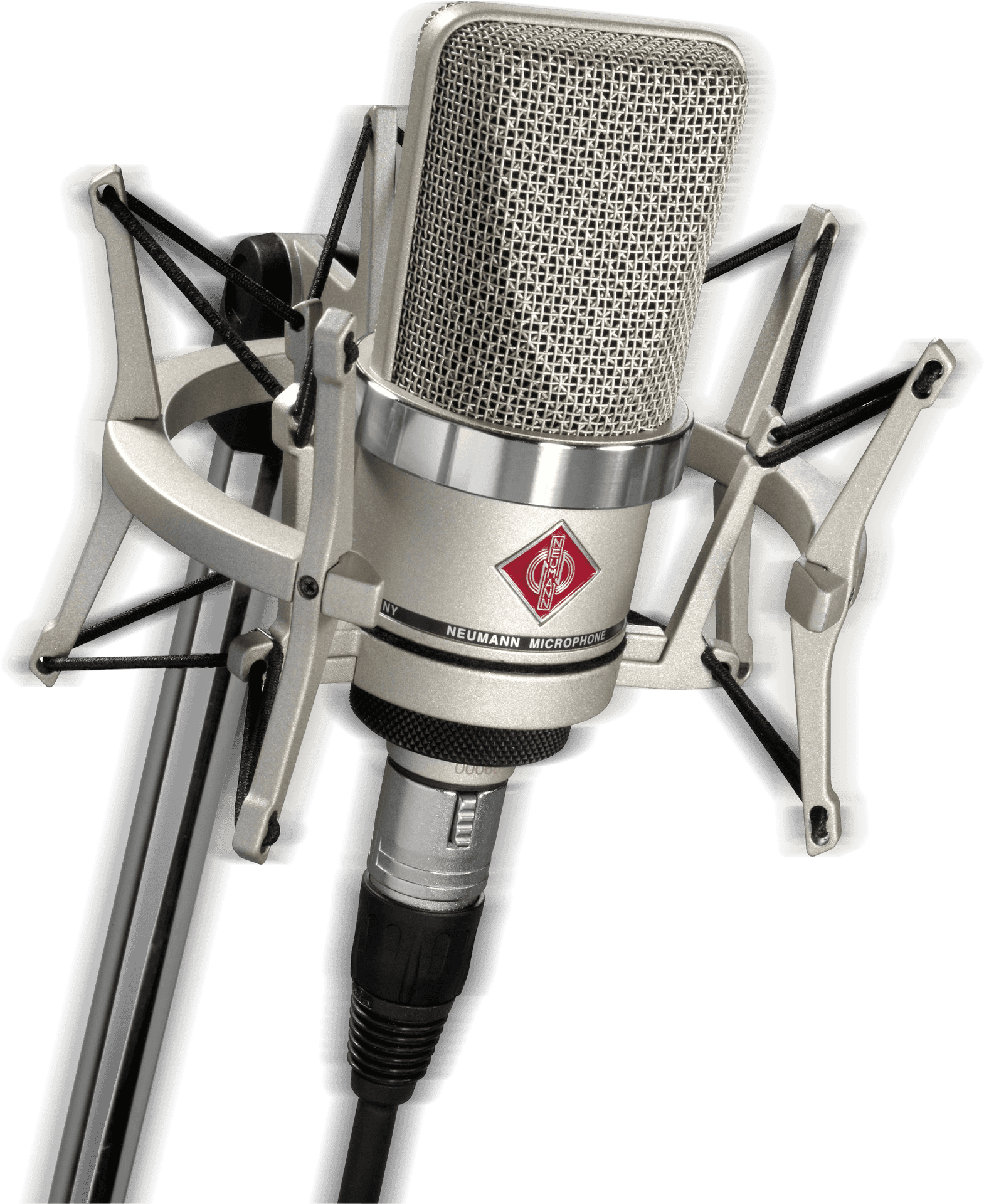 Professional Studio Microphone PNG Image