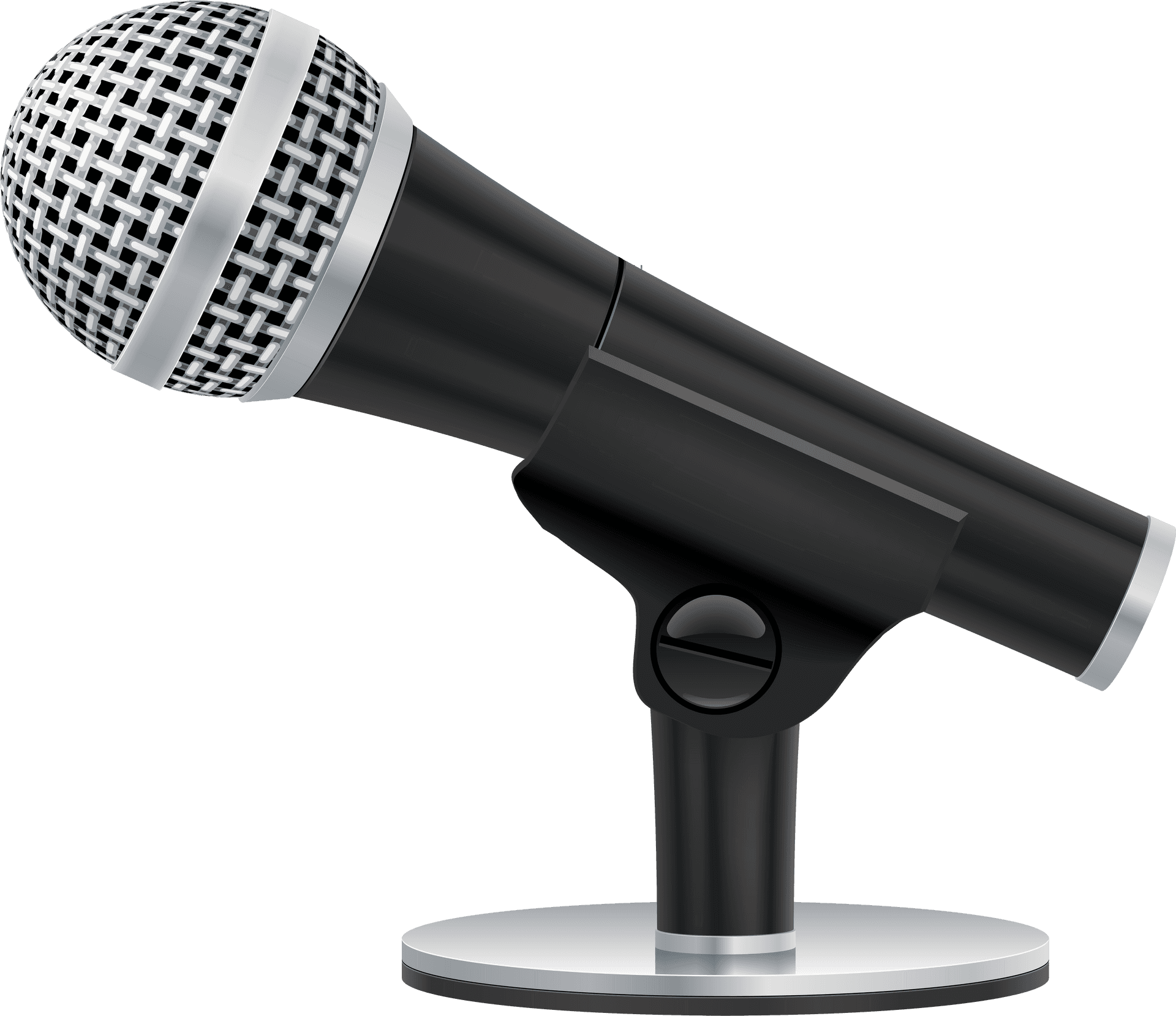 Professional Studio Microphone.png PNG Image