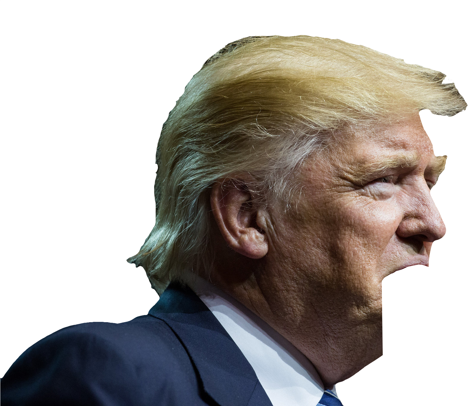 Profileof Donald Trump PNG Image