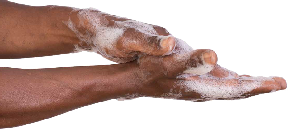 Proper Hand Washing Technique PNG Image