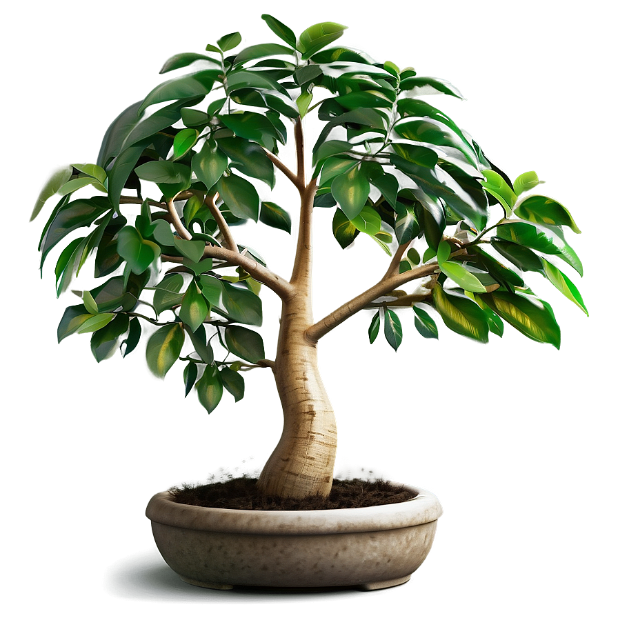 Prosperous Money Tree Image Png 75 PNG Image