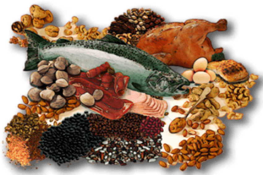 Protein Sources Collage PNG Image