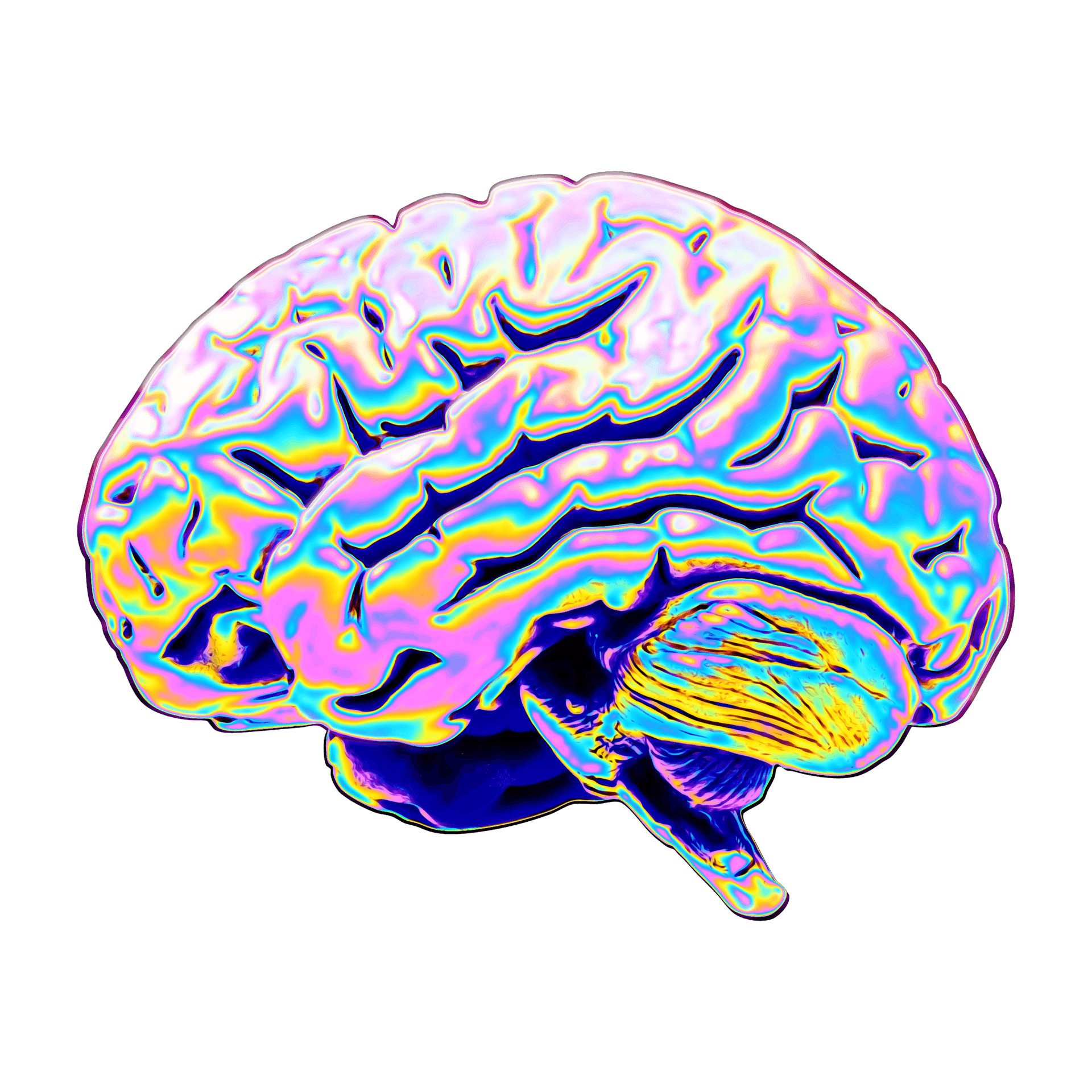 Psychedelic Brain Illustration PNG Image