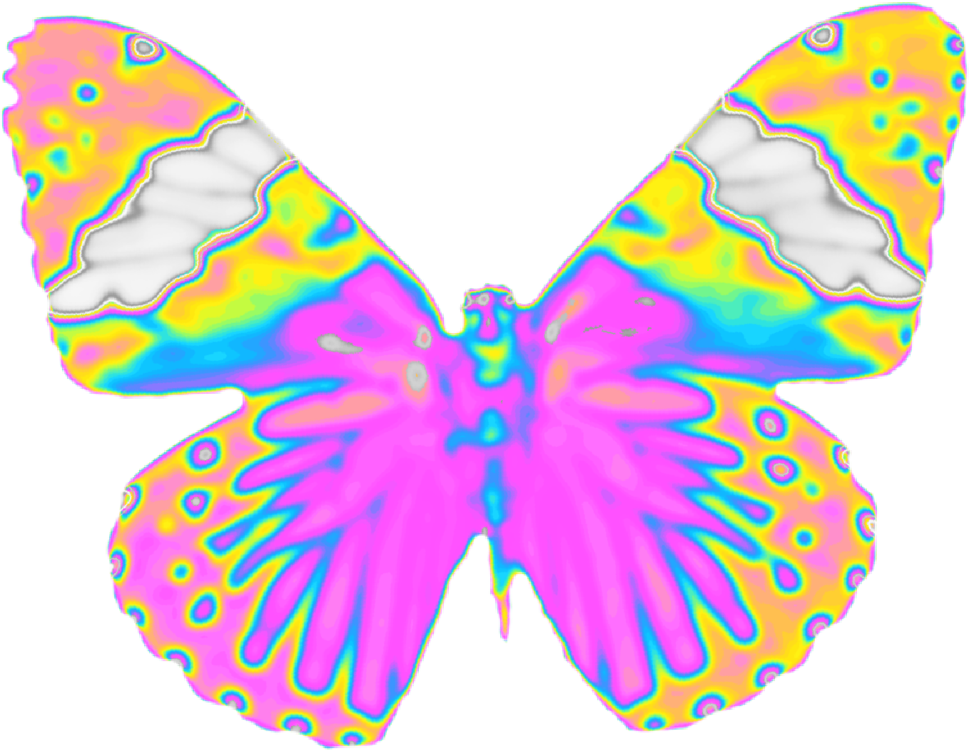 Psychedelic Butterfly Wings PNG Image