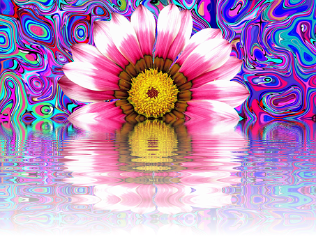 Psychedelic Summer Daisy Reflection PNG Image