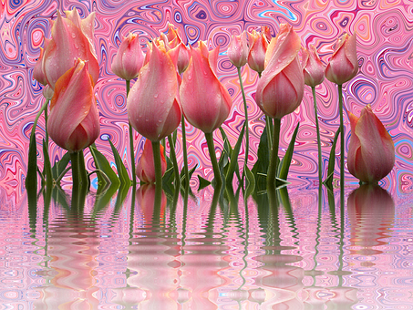 Psychedelic Tulips Reflection PNG Image