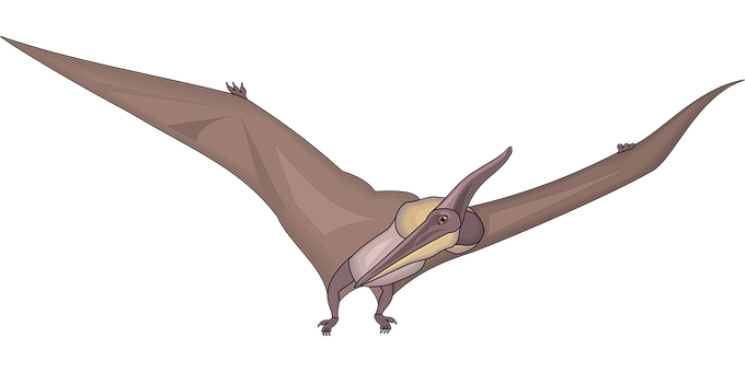 Pterosaur Illustration Flying Dinosaur PNG Image