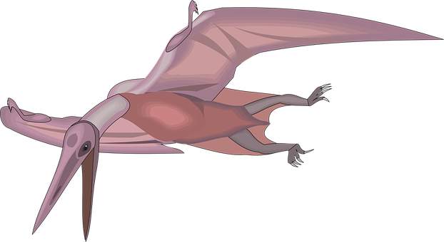 Pterosaur In Flight Illustration PNG Image