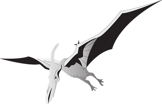 Pterosaur Silhouette Art PNG Image