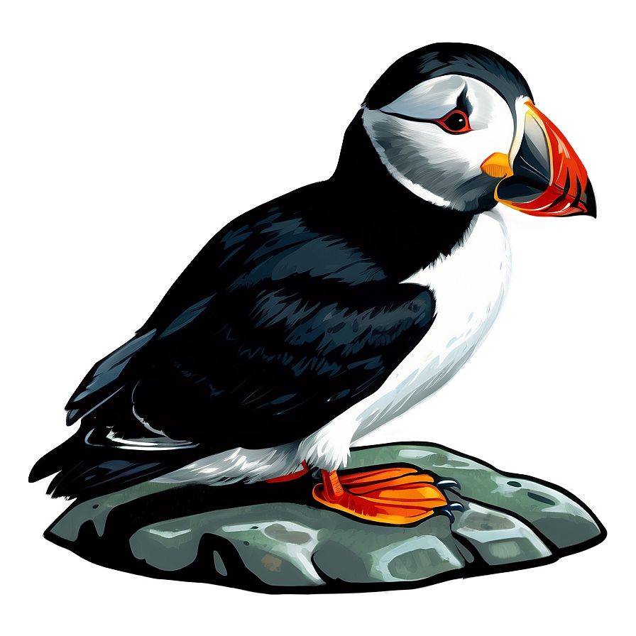 Puffin On Rock Png Gil PNG Image