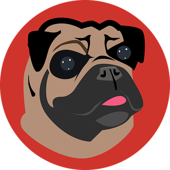 Pug Portrait Vector Illustration PNG Image