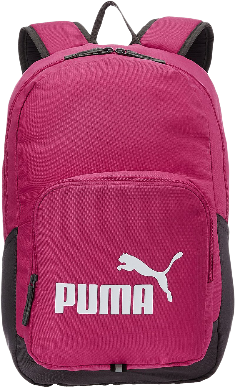 Puma Brand Backpack Maroon PNG Image