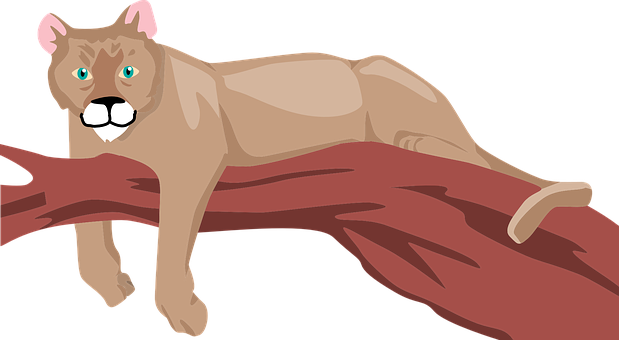 Puma Restingon Tree Branch PNG Image