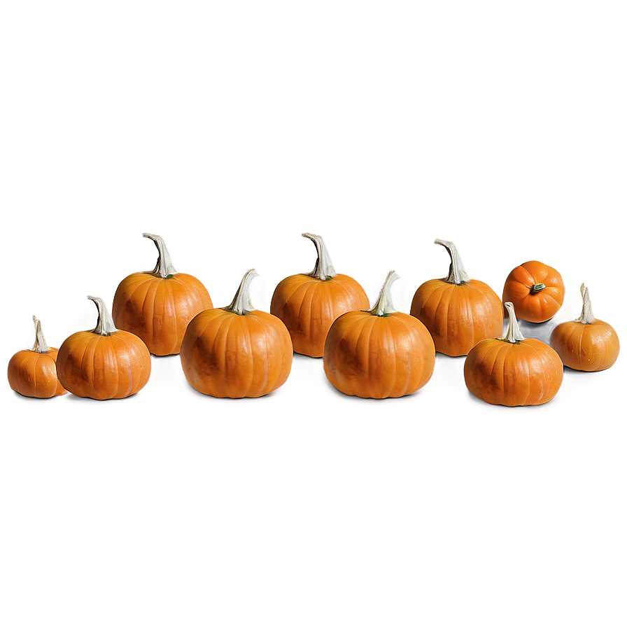 Pumpkin Patch C PNG Image