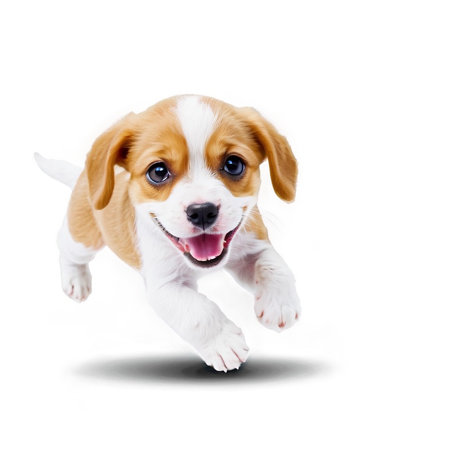 Puppy Jumping Png 19 PNG Image