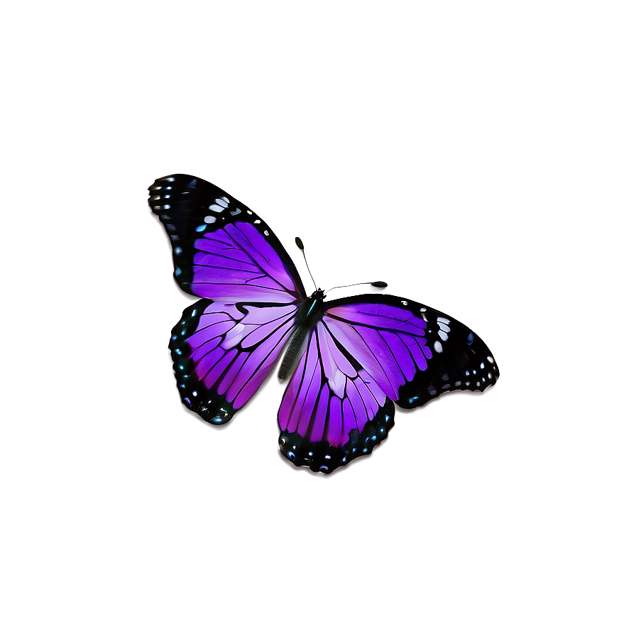 Purple Butterflies Png Nbd PNG Image