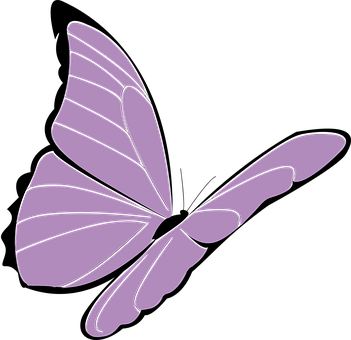 Purple Butterfly Graphic PNG Image