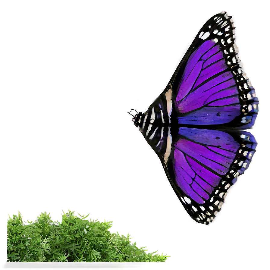 Purple Butterfly In Nature Png Nlg PNG Image