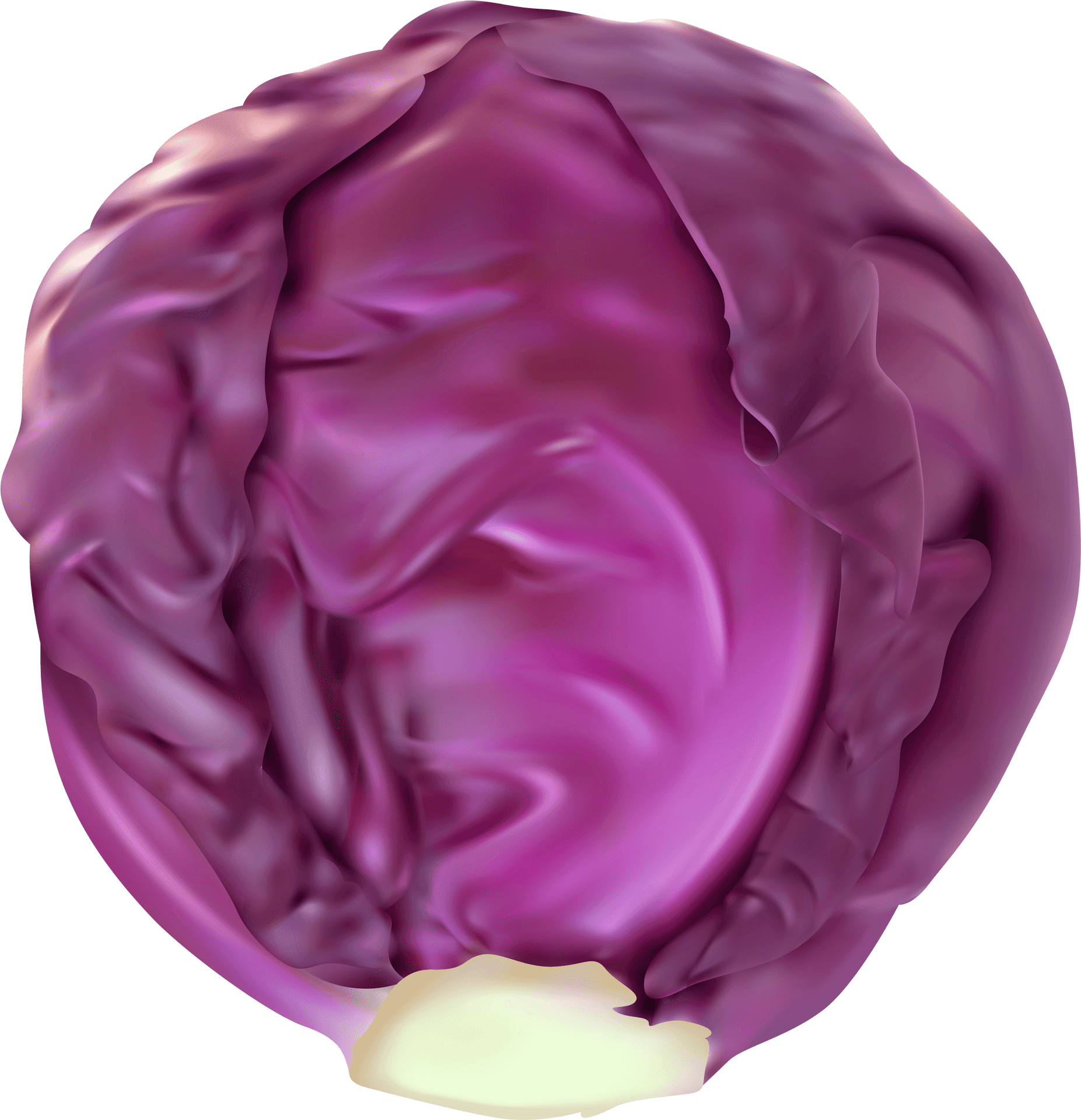 Purple Cabbage Top View PNG Image