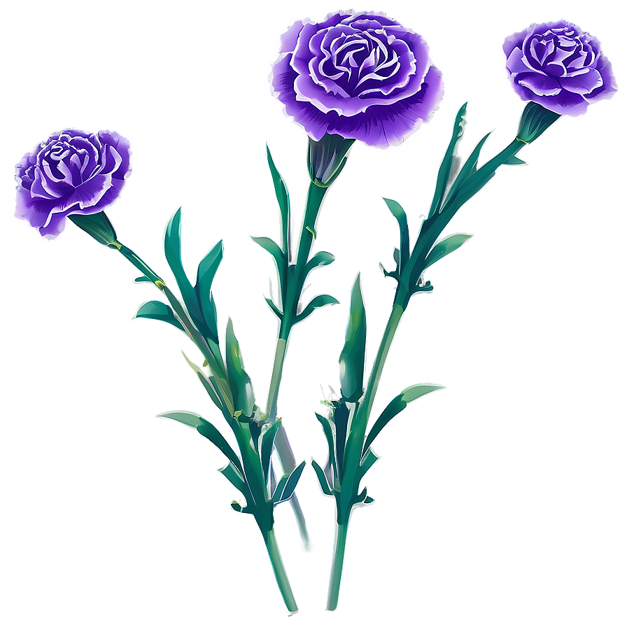 Purple Carnation Illustration Png 24 PNG Image